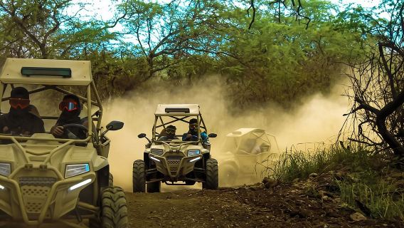 Quad Buggy Excursion Tour