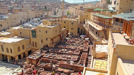 Tour privato guidato a piedi di mezza giornata nella Medina di Fez