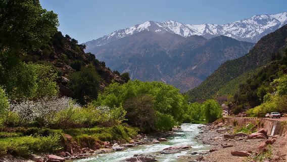 Découverte de la vallée de l'Ourika et des montagnes de l'Atlas avec un guide local