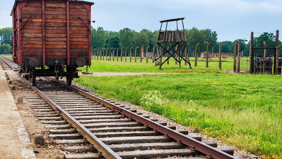Auschwitz-Birkenau guided tour and pickup from Krakow