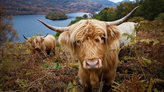 Excursión privada al lago Ness, Glencoe y las Tierras Altas desde Edimburgo