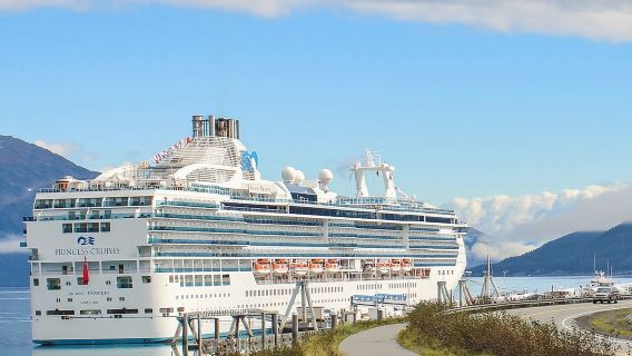 Tour di mezza giornata in transito da Whittier ad Anchorage dal porto
