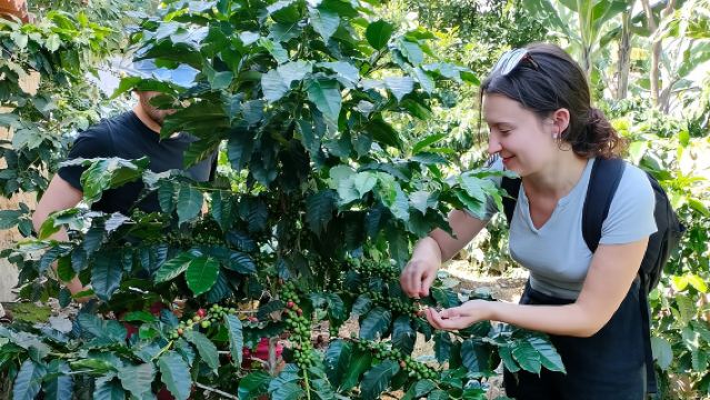 Kaffeetour am Atitlán-See