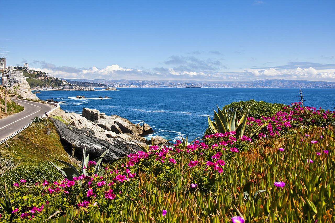 智利聖地亞哥瓦爾帕萊索+比尼亞德爾馬【私家包車/舒適體驗】