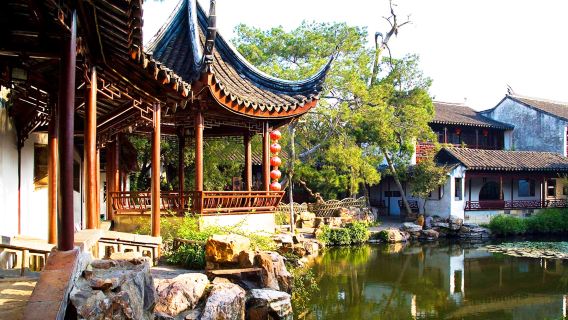Business Vehicle | English Guide | 1-day Tour from Shanghai to Suzhou Humble Administrator's Garden (Zhuozheng Garden) + Hanshan Temple + Shantang Street