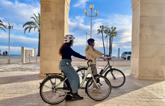 尼斯市自行車租賃