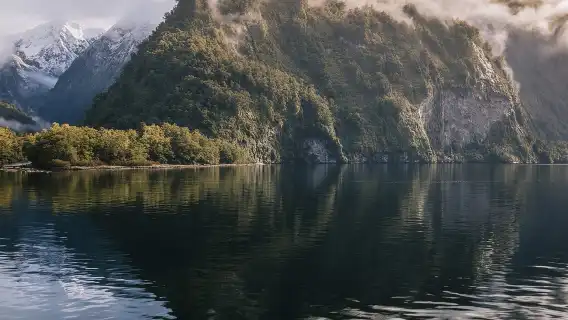 New Zealand Queenstown Doubtful Sound Half Day Tour [Natural Ecological Cruise 21863]