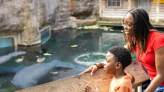 ZooTampa at Lowry Park: Fast Track Ticket