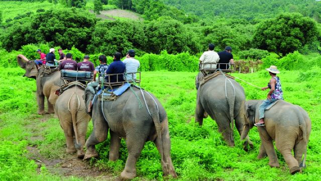清邁納財大象營一日遊【騎大象/大象洗澡+粘粘瀑布含午餐】