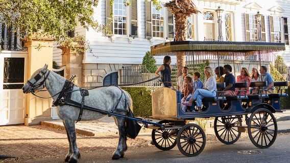 Tour in carrozza trainata da cavalli di Charleston: esplora la storica Charleston