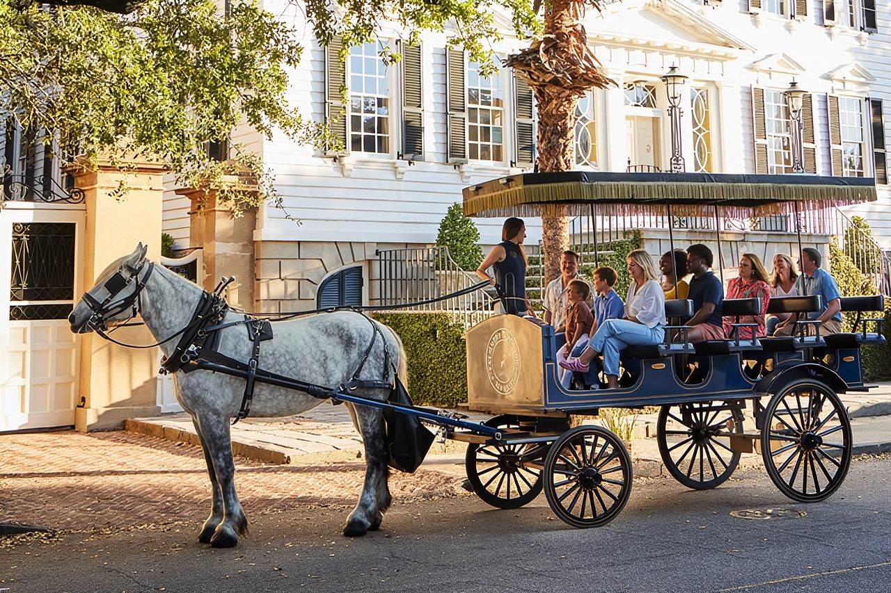 查爾斯頓馬車之旅：探索歷史悠久的查爾斯頓