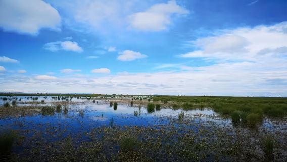 九曲包車「高鐵站&九寨出發」 來回 商務 轎車 任意發車時間