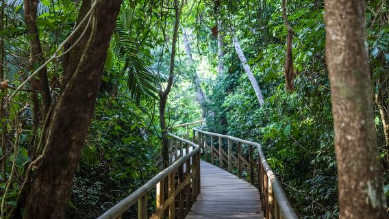 Manuel Antonio, ปุนตาเรนาส, คอสตาริกา: ขี่ม้า
