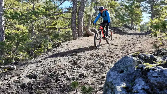 Etna: Mountain Bike or E-Bike Tour on Mount Etna