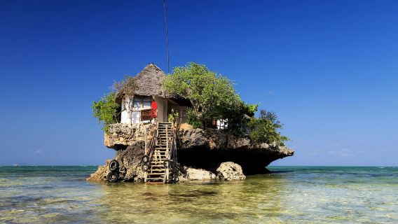 ZANZIBAR: Jozani forest, Kuza Cave, Paje Beach & The Rock