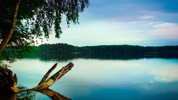 Visaginas: Đi bộ đường dài trong thiên nhiên hoang dã tại Công viên vùng Gražutės