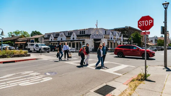 San Francisco: tour della regione vinicola di Sonoma con degustazioni