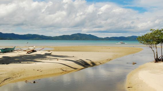 Port Barton: Island Hopping to Turtle Spot & Reef with Lunch