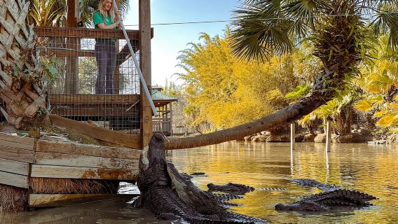 Orlando: Tiket Wild Florida Park dan Pertunjukan Gator