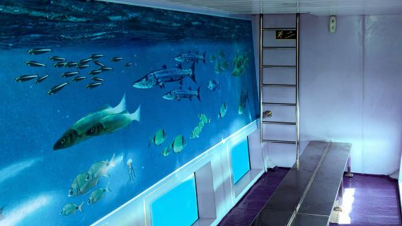 Mahon: Hafenrundfahrt mit Unterwasserbeobachtung und Kommentar