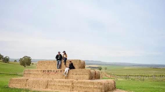 Adelaide: tour per piccoli gruppi di Barossa, cantine vinicole con pranzo