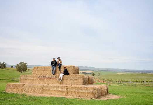 Adelaide: Small Group Tour of Barossa, Wineries with Lunch AUD 198.74