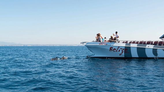 Desde Albufeira: Paseo en barco de 2,5 horas para ver delfines y cuevas