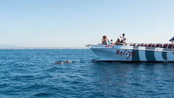Da Albufeira: gita in barca di 2 ore e mezza tra delfini e grotte