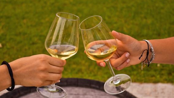 Sirmione: Tour dei vigneti con vini Lugana e degustazioni locali