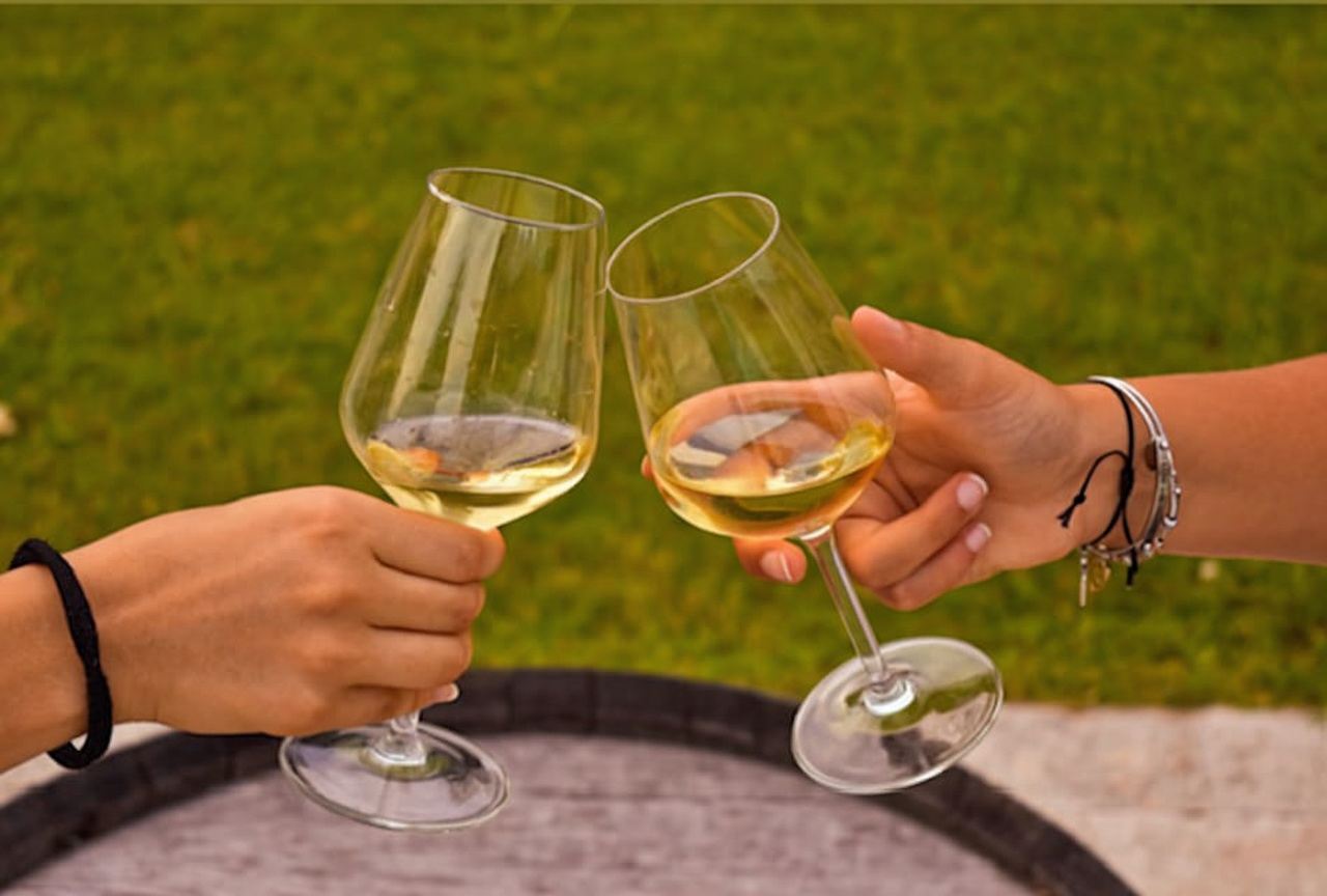 Sirmione: Vineyard Tour with Lugana Wines and Local Tastings