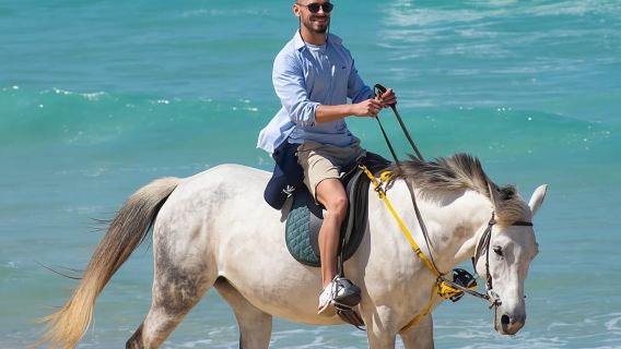 Da Lisbona: Passeggiata a cavallo sulla spiaggia di Comporta
