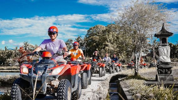 Quad Adventure and Monkey Forest - Full-Day Tour with Lunch