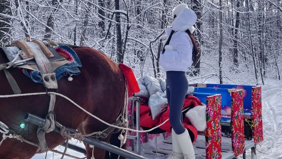 야블리 말 썰매 [순록 공원 + 스노우 디스크 체험 포함]