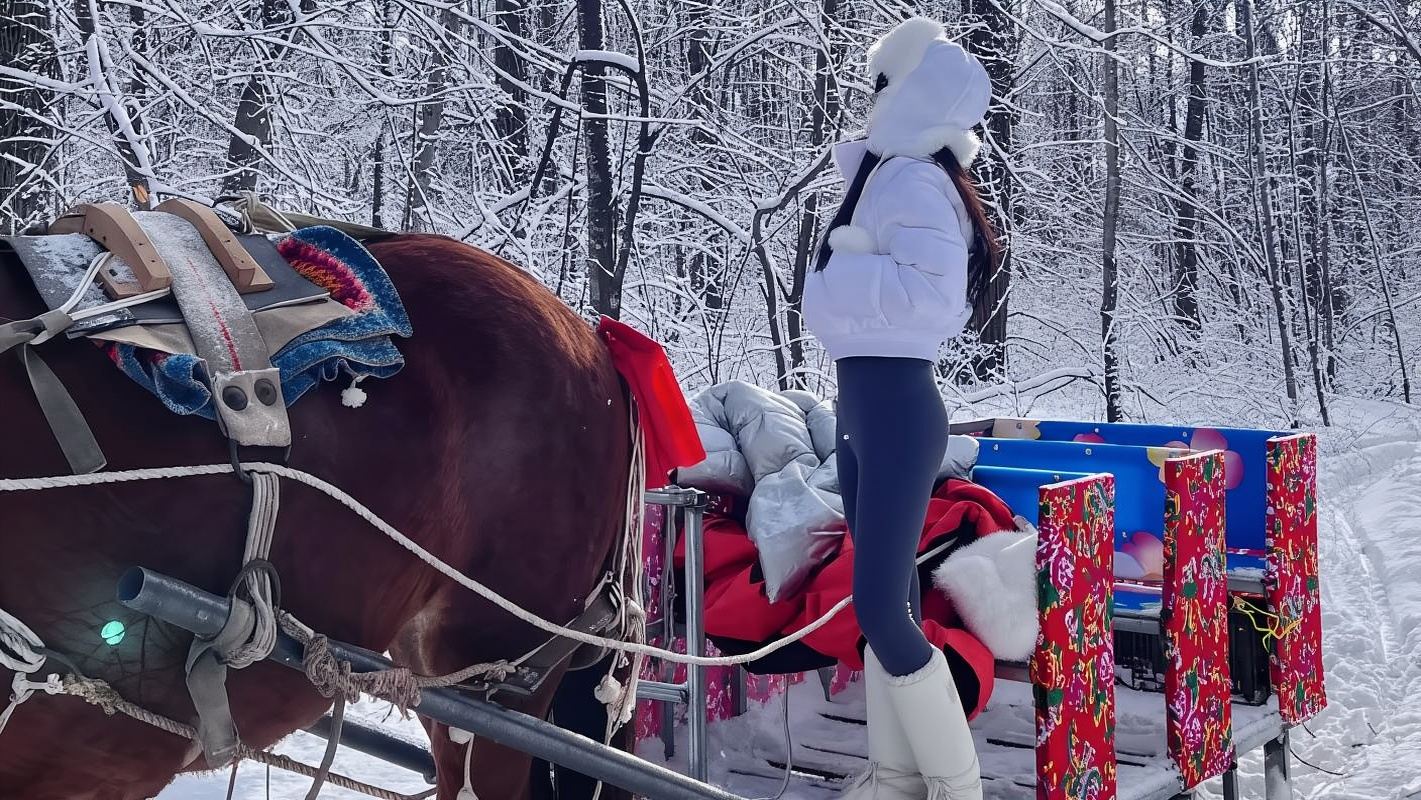 ย่าปู้ลี่ ม้าหลักเลื่อน + หมู่บ้านเสือโคร่ง + เต้นรำพื้นเมือง (ของแถม: สวนกวางเรนเดียร์ + จานเลื่อนหิมะ + ล่าสมบัติในหิมะ)