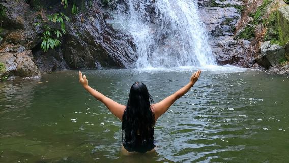 Eco-Hike in Minca: Coffee Tour, Waterfall & Chocolate Experience!