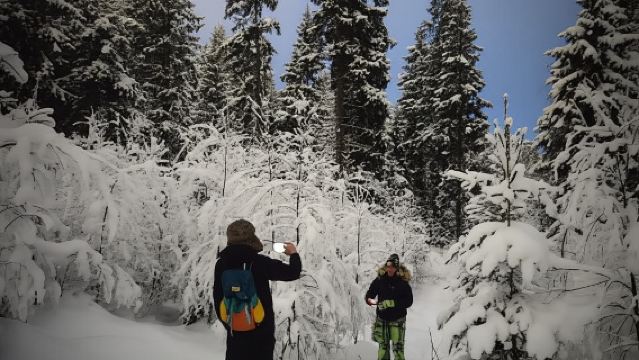 Oslo: Snowshoeing in the Forest with Norwegian BBQ