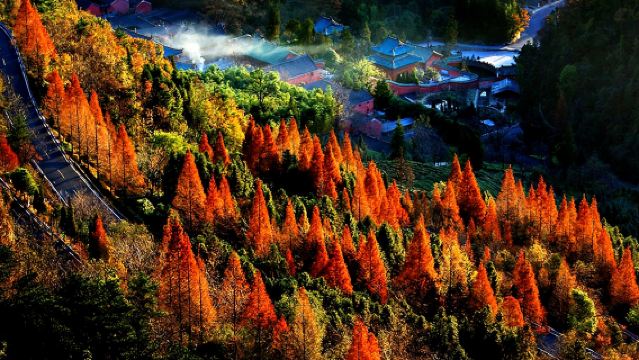 Excursión de un día en Shiyan, Hubei: Montaña Wudang | Guías en múltiples idiomas incluidos chino e inglés - Servicio de coche privado con conductor personalizado