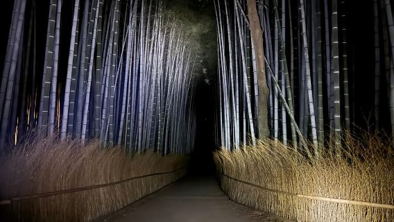 Kyoto Tour dei Fantasmi: Storie Oscure, Leggende, Foresta di Bambù di Notte