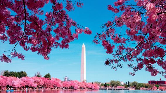DC Monuments Tour with River Cruise, Optional Entry Tickets