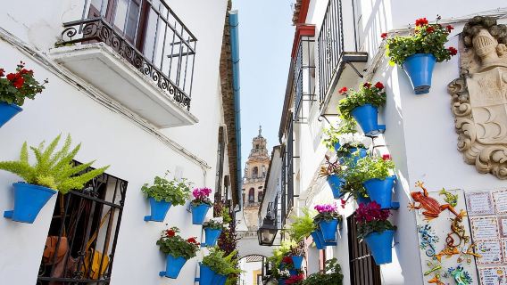 Moschea-Cattedrale, Alcazar e Quartiere Ebraico con biglietti