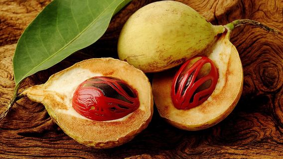 Grenada Spice Gardens, Rum & Chocolate Tour (Full/Half Day)