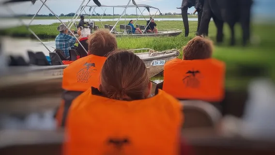 chobe 3hr sunset boat cruise