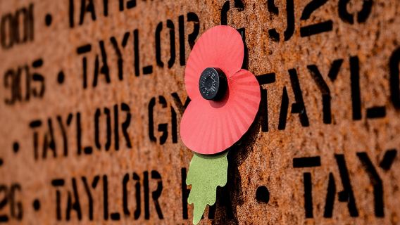 Una storia di scoperta, istruzione e ricordo