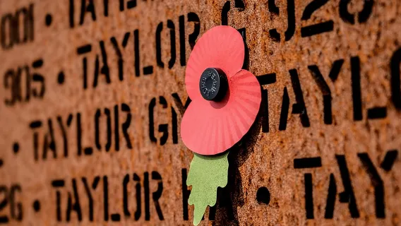 Una storia di scoperta, istruzione e ricordo