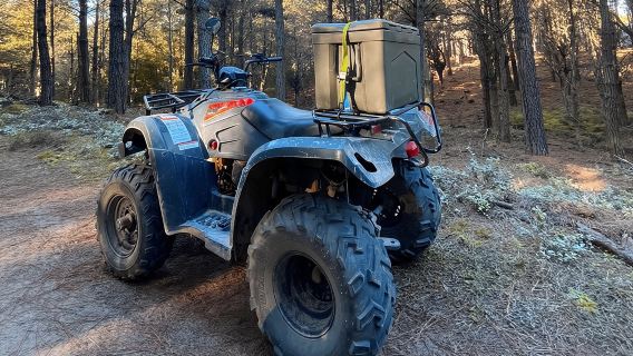 2-Hour Quad Biking Guided Excursion Through the Knysna Forests