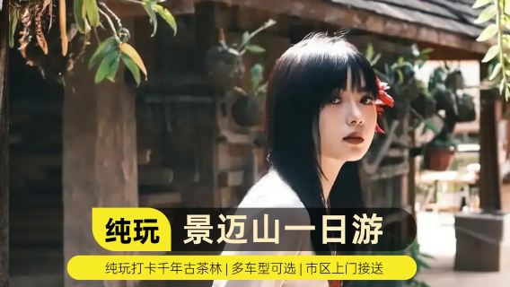 Tour in auto a noleggio a Pu'er: gita di un giorno all'antico villaggio di Nuogan, all'antico giardino del tè del millennio di Jingmai e all'antico villaggio di Wengji