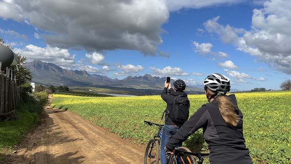 Stellenbosch Winelands 5 hour Private E-Bike Tour