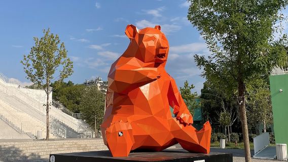 티라나이색 체험
