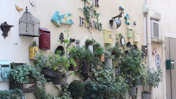 Half-day Tour of Saint-Remy-de-Provence + Les Baux de Provence + Pont du Gard|Small group|Departure in the afternoon