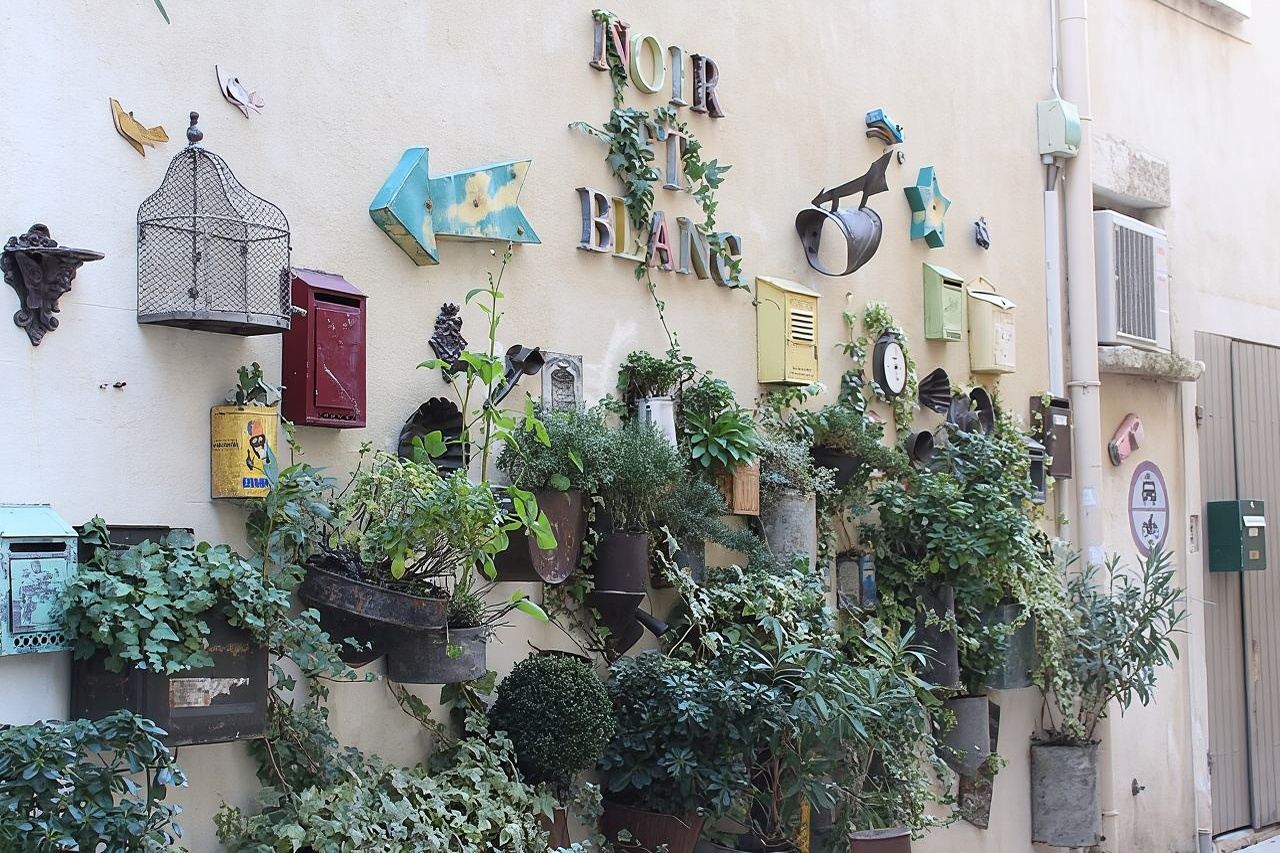 Tour di mezza giornata a Saint-Rémy-de-Provence, Les Baux-de-Provence e Ponte del Gard|Tour raffinati in piccoli gruppi|Partenza nel pomeriggio
